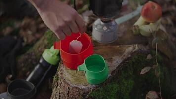 Man hiker making tea while camping, boiling water on burner in woods on stump in autumn. Camping equipment for cooking food and hot drinks. Traveler prepares tea by using system for cooking on gas. video
