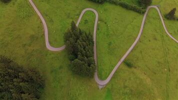 Cyclist riding down curvy road in Germany, Bavaria near Lake Grosser Alpsee in summer in rainy overcast weather aerial view. Overhead view of an asphalt road snaking in mountains and cyclist in Alps. video