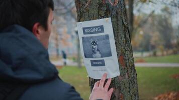 Man walking in park saw message on tree about missing dog, takes photo on his phone to remember and call if he sees missing dog. Male makes photo of a lost dog posting in a tree post in the park. video