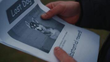 Man looking for a missing pet, posting posters on trees in the park. Missing dog banner. Male hangs up an advertisement for the search for dog. Lost puppy reward message poster. Home pet search. video