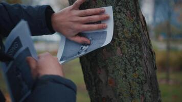 Man looking for a missing pet, posting posters on trees in the park. Missing dog banner. Male hangs up an advertisement for the search for dog. Lost puppy reward message poster. Home pet search. video