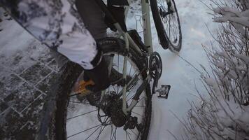 Cleaning dirt and snow off the bicycle using a brush outside the house before taking it home. Man brushes wheels of bicycle with scrub brush out front house in winter. Snow and cycling. video