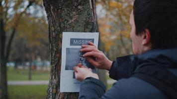 Lost pet owner sets dog photo poster of losing husky puppy on tree in park. Man pasting posters of the missing dog. Flyer with information about the missing dog hangs on a tree in the park. Lost dog. video