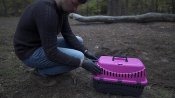 Sad pet owner buries animal in a hole dug with shovel in ground in woods. Man takes corpse of small animal out of carrier in plastic bag and buries it in forest. Burying a cat in an illegal place. video