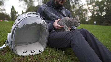 Caucasian man sits on the grass in the park and strokes a pet gray cat, bringing in an animal carrier, a transparent backpack. The theme is a walk with a domestic feline outdoors in cold weather. video