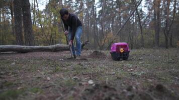 Man digging a grave in pet cemetery. Gravedigger digs pet burial hole in wooded area. Carrying box for animals with toy on background of grave. Theme of death and pain of losing a cat or dog. video