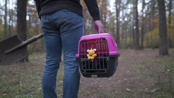 Theme is death of pet. Rear view of man walking along forest path and carrying shovel in one hand for digging grave, and in other transport box with an animal inside. The last path of cat. video