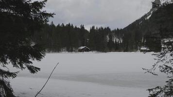 Lake Spitzingsee in winter covered with snow and ice in freezing cloudy weather in Bavaria, Germany. A mountain lake in Bavarian Alps frozen around mountain in Spitzingsee, Schlierseer Berge video