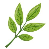 branch with green leaves vector