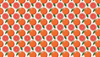 Pattern of grapefruits on a white background. vector