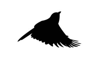 Tit Bird Flying Silhouette Design vector