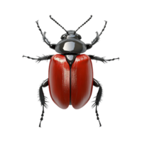 Red Bug with Black Accents on Transparent Background png