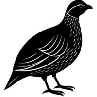 Beautiful Bird Silhouette of Quail for Wild Animal Lovers and Graphic Projects vector
