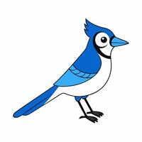 Minimalist Blue Jay Bird Clip Art Illustration for Nature Lovers and Wildlife vector