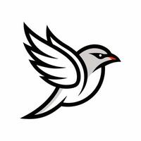 A bird with a black and white head and red beak vector