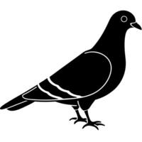 Simple Pigeon Bird Silhouette Clean Artistic Design vector