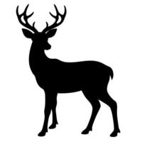 Silhouette of a Deer Standing in a Peaceful vector