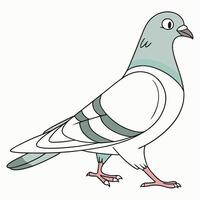 Stunning Pigeon Drawing for Graphic Design and Creative Projects vector