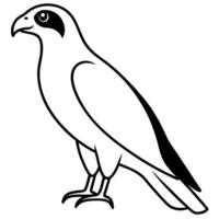 Elegant Hawk Bird Outline Drawing for Nature Art Projects vector