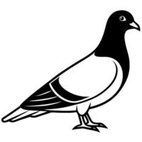 Elegant Bird Silhouette Line Art Featuring a Pigeon in Simple Design vector