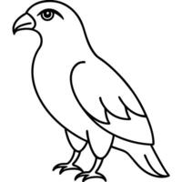 Stunning Hawk Bird Line Art Design for Wildlife Enthusiasts vector