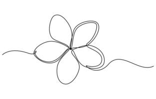 Plumeria flowers in continuous line art drawing style vector