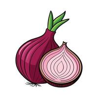 an onion and a half onion are shown on a white background vector