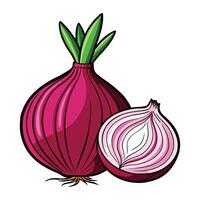an onion and a half onion are shown vector