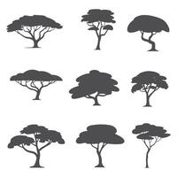 A serene tree silhouette, featuring intricate branches and a sturdy trunk, symbolizing growth, stability, and natural beauty. vector