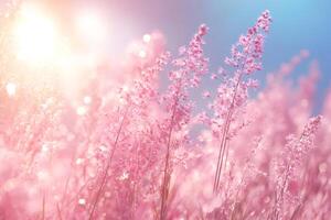 Pink grass flowers swaying in gentle breeze under warm sunlight photo