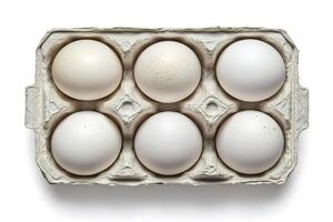 Six fresh eggs resting in a cardboard carton on white background photo