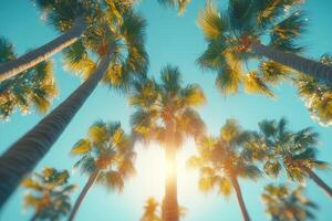 Tropical palm trees swaying in the gentle breeze under a sunny sky photo