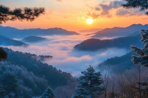 Sunrise illuminating misty mountain valley with pine trees in foreground photo