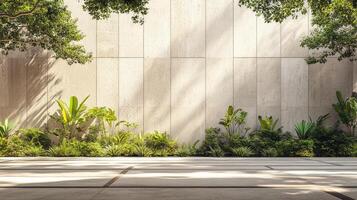Empty concrete wall with tropical plants and trees creating shadows photo