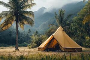 Tent camping under palm trees with mountain view in tropical paradise photo