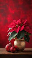 Christmas poinsettia with red baubles creating festive atmosphere photo
