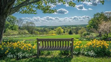 Relaxing park bench overlooking scenic valley in spring photo