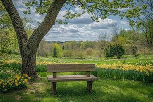 Relaxing wooden bench under a tree in a blooming garden photo