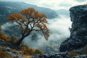 Majestic autumn tree standing on a cliff in a misty canyon photo