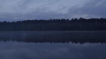 Flying bird and calm reflecting lake water in sunset time video