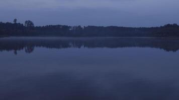 Forest trees reflecting in calm lake water in sundown time video