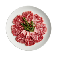 Perfectly Arranged Slices of Juicy Marbled Beef Steak with Fresh Rosemary on a White Plate png