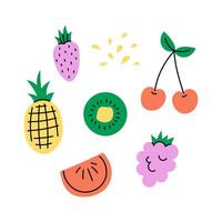 Fruit set in hand drawn flat style vector
