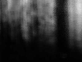 Black and white photograph of a forest with trees photo