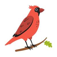 Bright red cardinal perched on a branch among green leaves in a clear setting vector