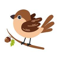 Cute brown bird perched on a branch with an acorn and leaf during a sunny day vector
