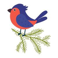 Colorful bird perched on a pine branch in a playful illustration style vector