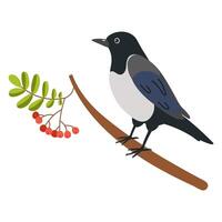 Vibrant bird perched on branch with berries against a simple background vector