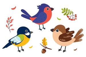 Colorful cartoon birds in autumn setting with leaves and berries vector