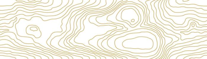 Seamless gold wooden pattern. Wood grain texture. Dense lines. Abstract white background vector
